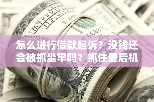 北京怎么进行借款起诉？没钱还会被抓坐牢吗？抓住最后机会！