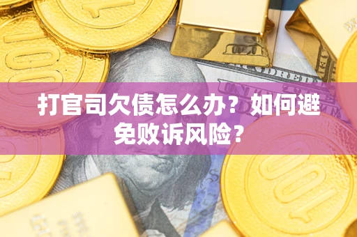 北京打官司欠债怎么办？如何避免败诉风险？