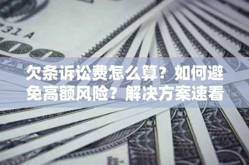 北京欠条诉讼费怎么算？如何避免高额风险？解决方案速看！