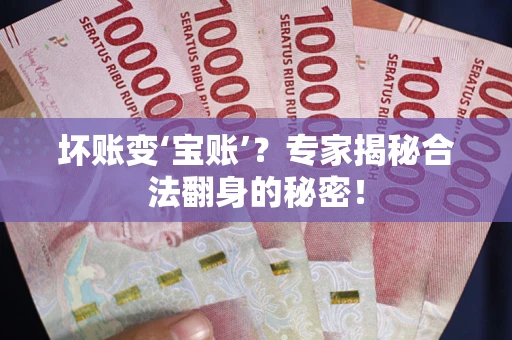 北京坏账变‘宝账’？专家揭秘合法翻身的秘密！