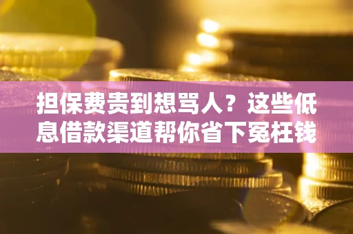 北京担保费贵到想骂人？这些低息借款渠道帮你省下冤枉钱