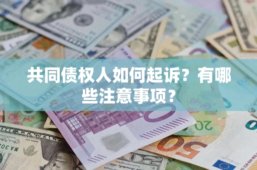 北京共同债权人如何起诉？有哪些注意事项？